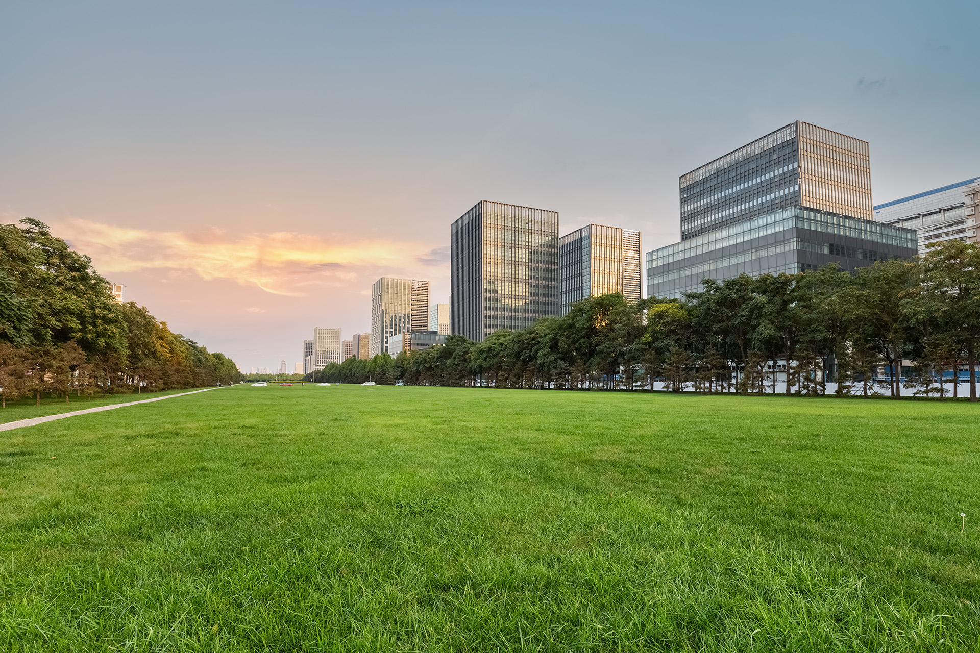 green park in the middle of a city