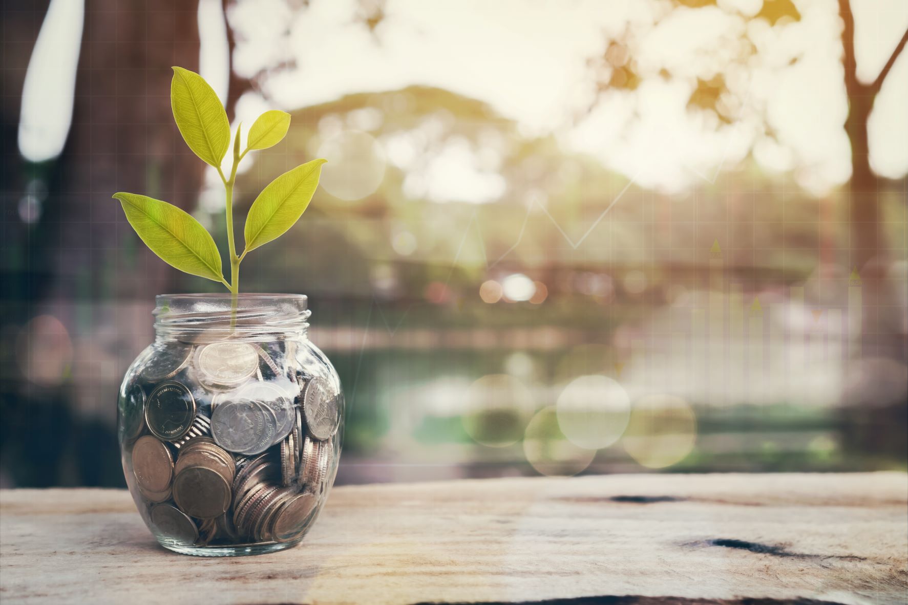 Money and plant in a jar